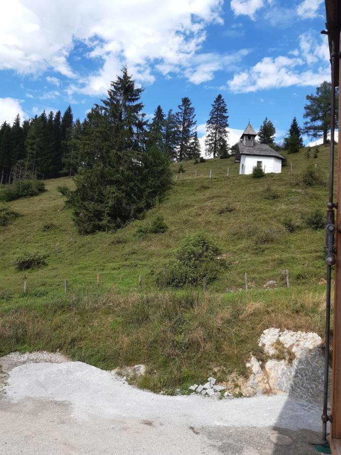 Sonnleit'N Zimmer 6 Abtenau Buitenkant foto