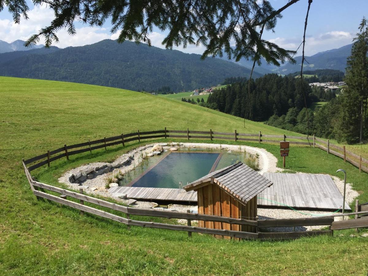 Sonnleit'N Zimmer 6 Abtenau Buitenkant foto